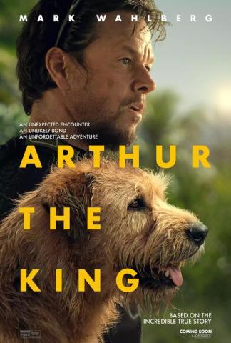 Image of movie poster for Arthur the King.