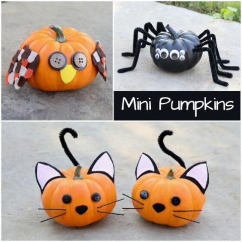 Mini Pumpkins Decorated as an owl, cats, and spider