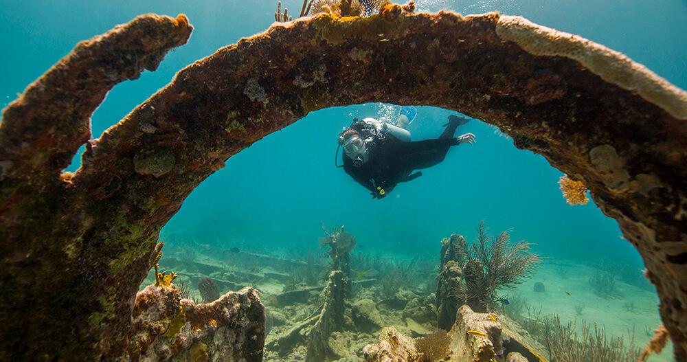 Image of a diver swimming through underwater wreckage.