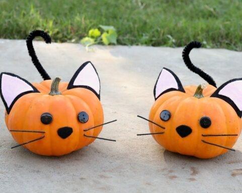 Decorative pumpkins with decorations to look like cats