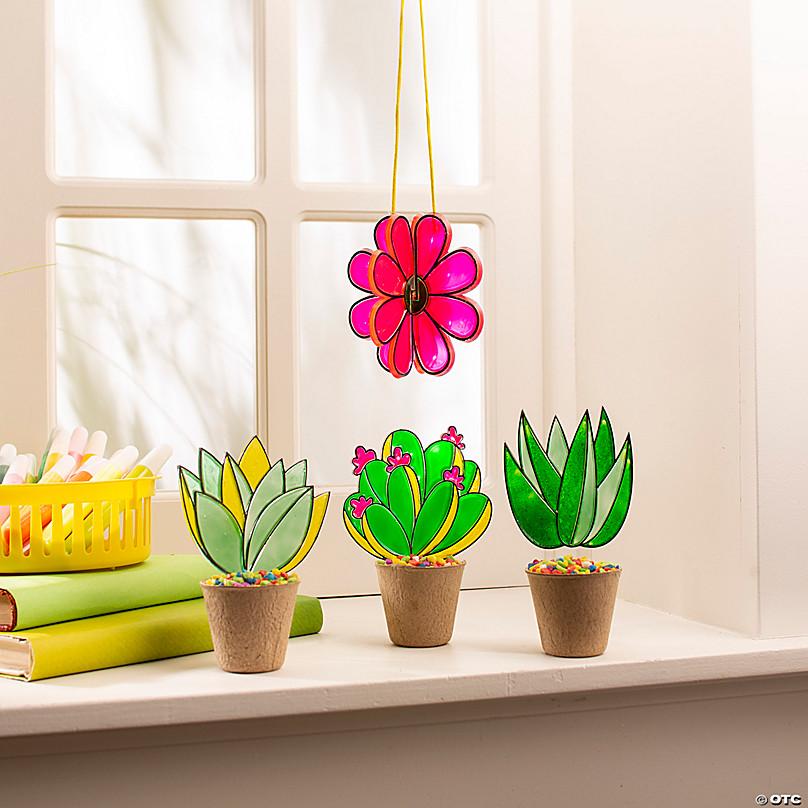 Suncatcher Succulents