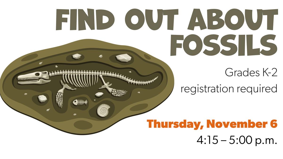 find out about fossils